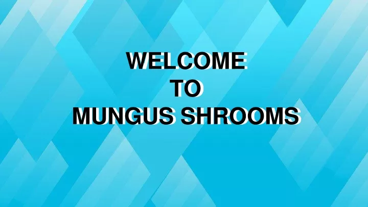 welcome to mungus shrooms