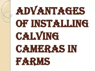 Reasons on Why you Should Install the Calving Cameras