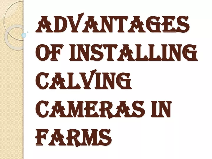 advantages of installing calving cameras in farms
