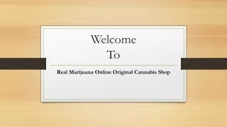 welcome to