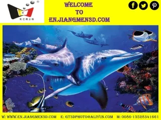 welcome to en jiangmen3d com