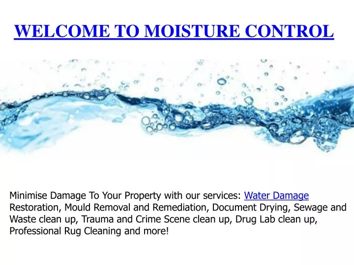 welcome to moisture control