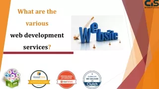 what are the various web development services