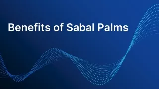 Benefits of Sabal Palms