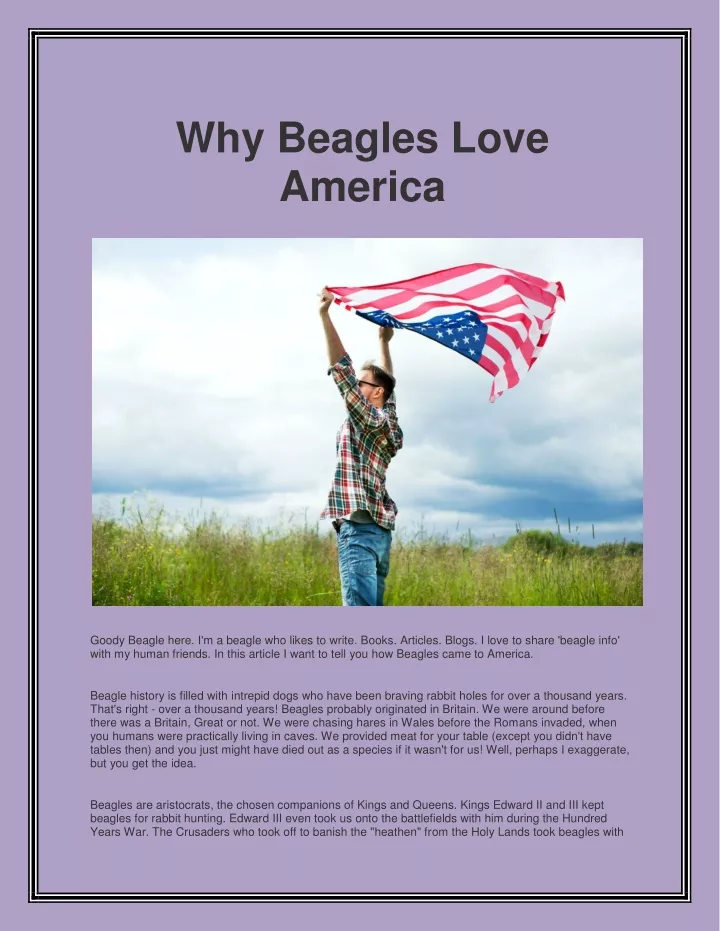 why beagles love america