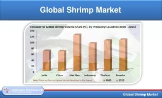 global shrimp market