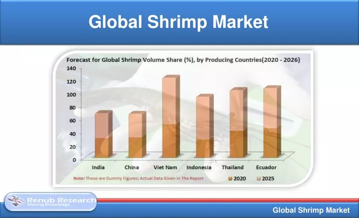 global shrimp market