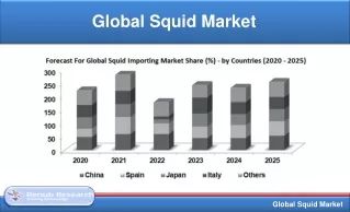 global squid market
