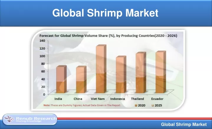 global shrimp market