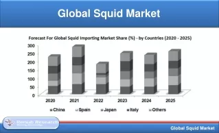global squid market