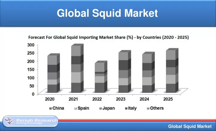 global squid market