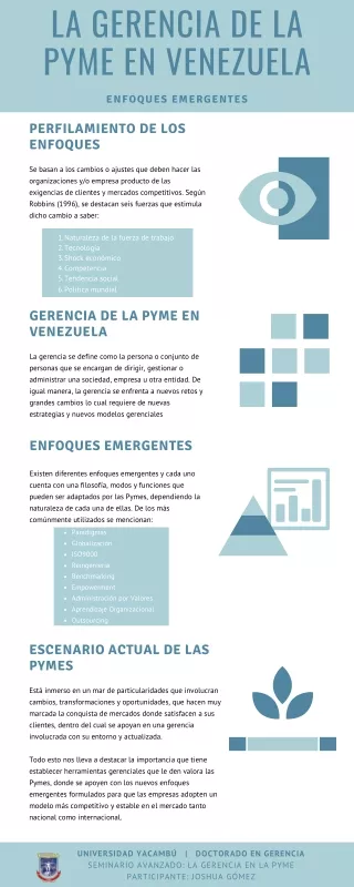 Infografía Enfoques Emergentes Pyme Vzla - JG