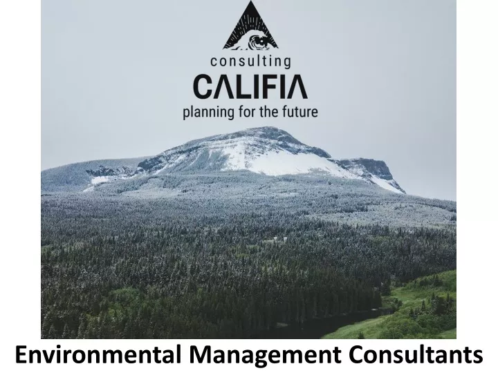 environmental management consultants