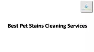 Best Pet Stains Cleaning Services