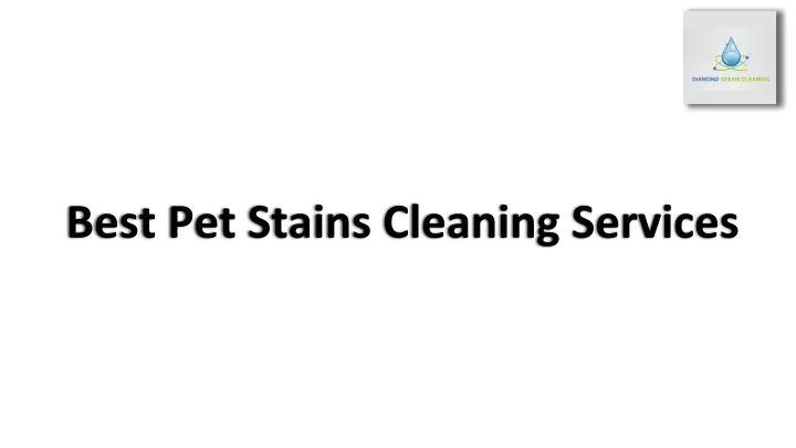 best pet stains cleaning services