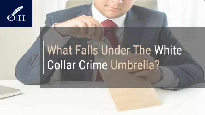 what falls under the white collar crime umbrella
