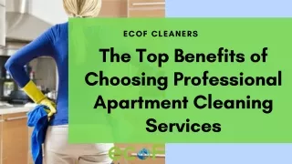 The Top Benefits of Choosing Professional Apartment Cleaning Services