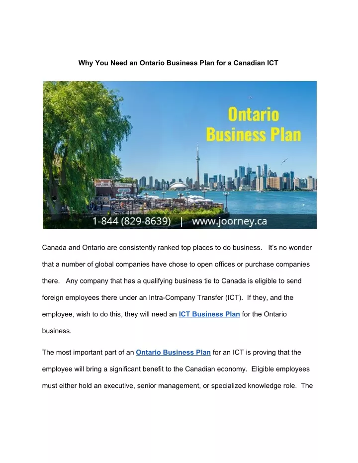 why you need an ontario business plan