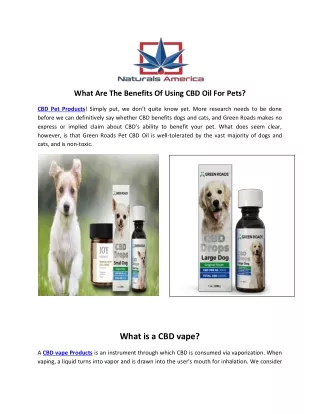 What Are The Benefits Of Using CBD Oil For Pets?