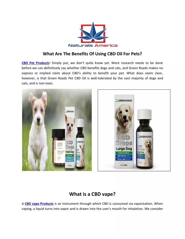 what are the benefits of using cbd oil for pets