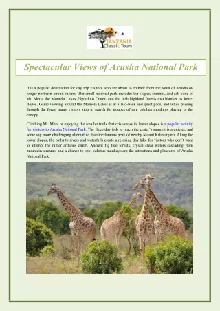 Spectacular Views of Arusha National Park