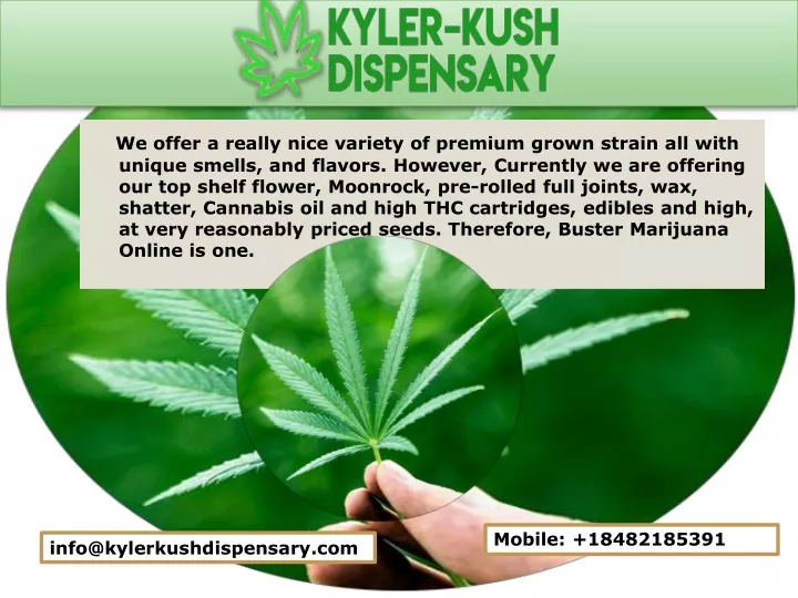 we offer a really nice variety of premium grown