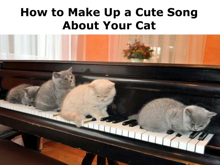 how to make up a cute song about your cat