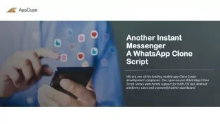 Best WhatsApp Messaging Clone Script - AppDupe