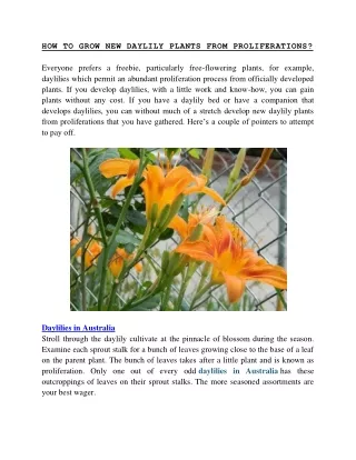 How To Grow New Daylily Plants From Proliferations?