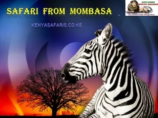 Safari From Mombasa