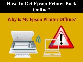 How To Get Epson Printer Back Online?