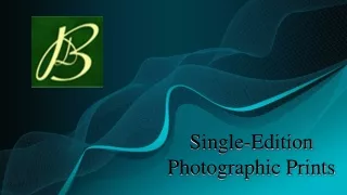 Single-Edition Photographic Prints