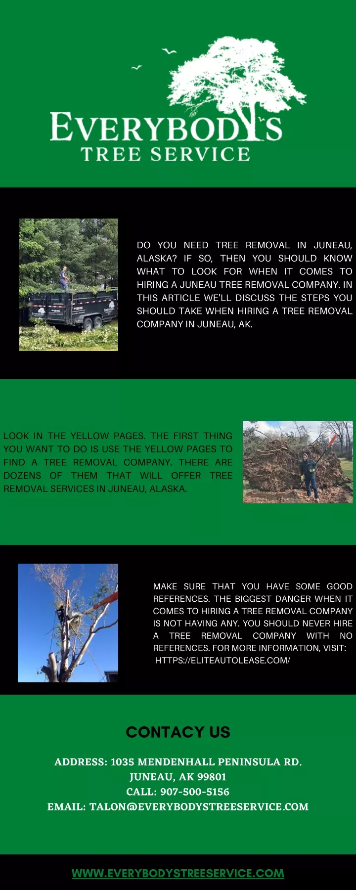 do you need tree removal in juneau
