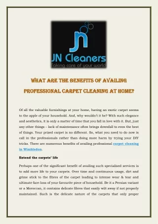 What Are The Benefits of Availing Professional Carpet Cleaning at Home?