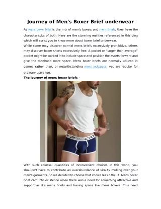 Journey of Men's Boxer Brief underwear