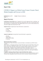 Large Format Ceramic Panel Market Insights and Forecast to 2026 - slide 1