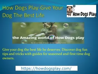 How Dogs Play-Give Your Dog The Best Life