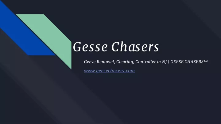 gesse chasers
