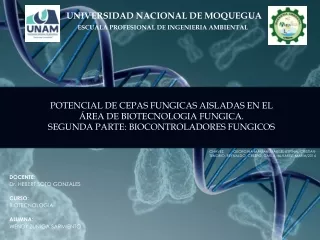 POTENCIAL DE CEPAS FUNGICAS AISLADAS EN EL ÁREA DE BIOTECNOLOGIA FUNGICA