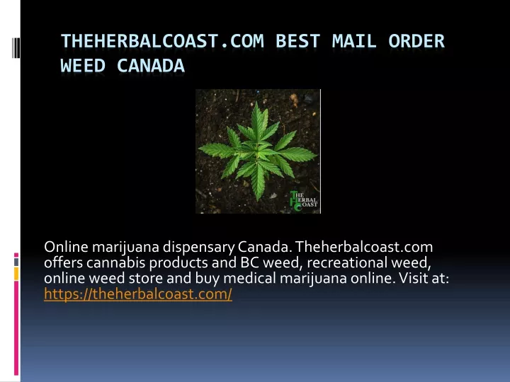 theherbalcoast com best mail order weed canada