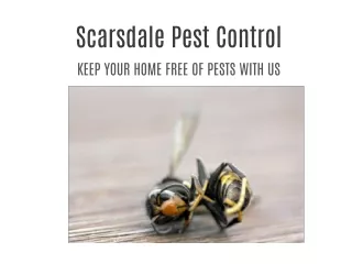 Scarsdale Pest Control
