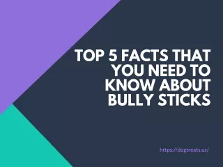 Top 5 Facts that you need to know About Bully Sticks