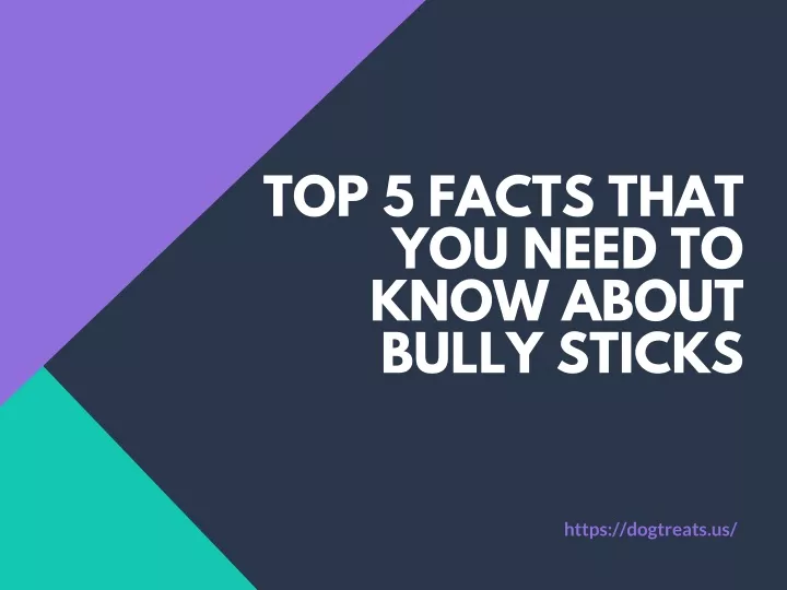 top 5 facts that you need to know about bully