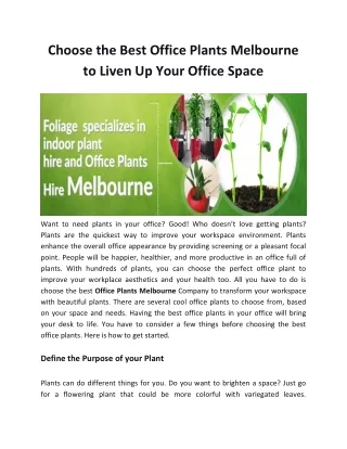 Choose the Best Office Plants Melbourne to Liven Up Your Office Space