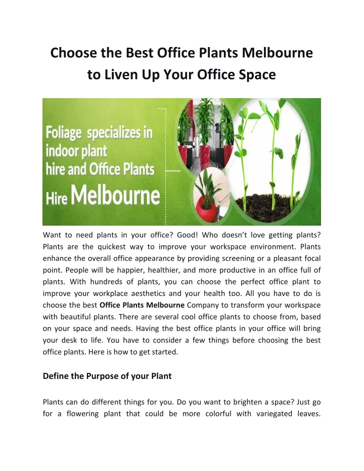choose the best office plants melbourne to liven