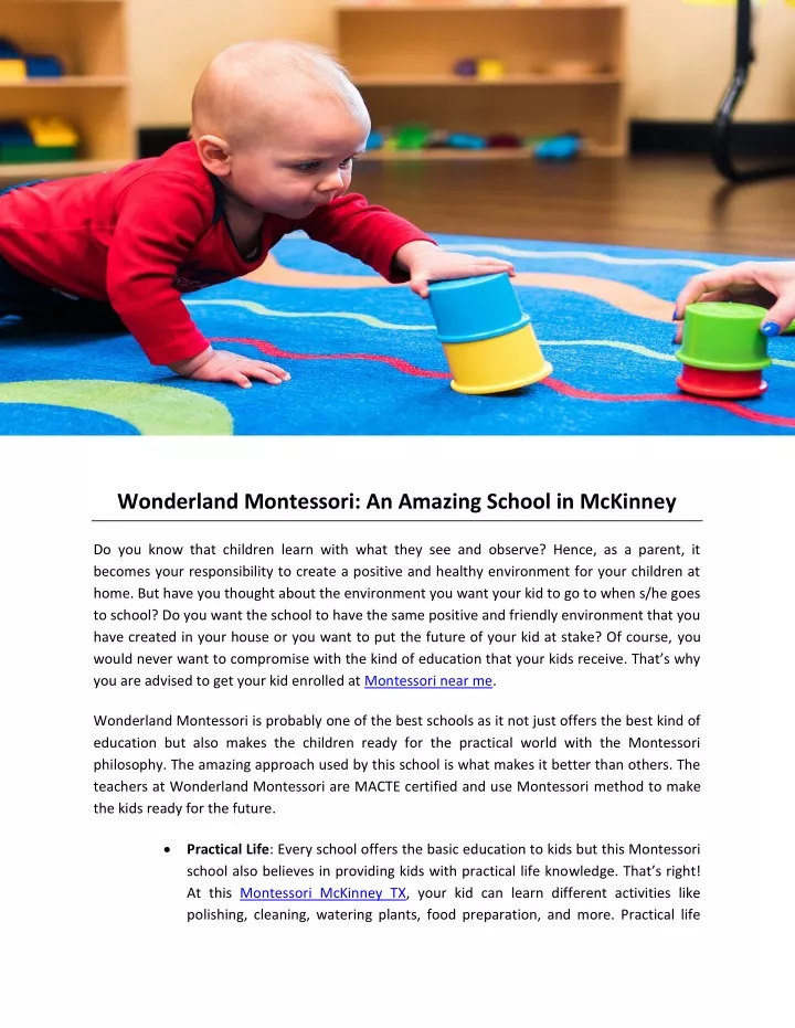 wonderland montessori an amazing school