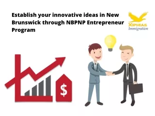 Establish Your Innovative Ideas in New Brunswick Through NBPNP Entrepreneur Program