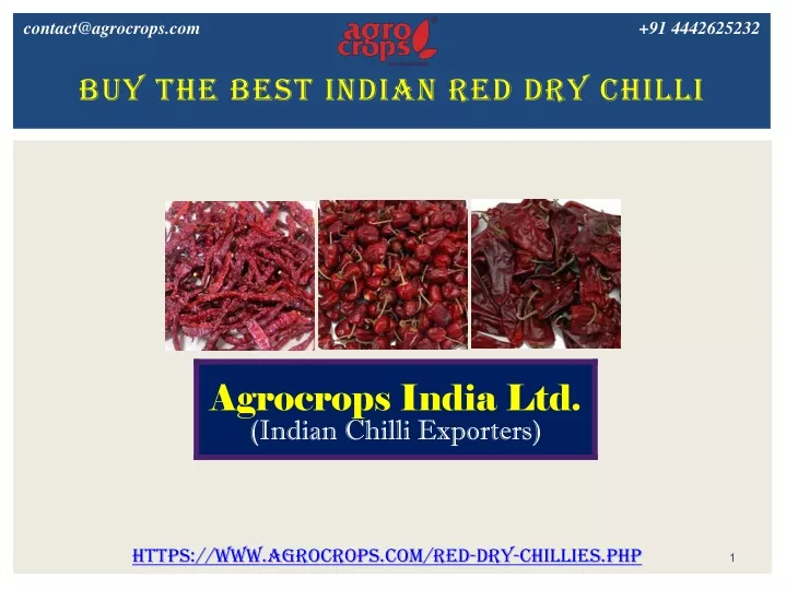 buy the best indian red dry chilli