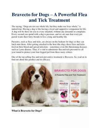 Bravecto for Dogs – A Powerful Flea and Tick Treatment
