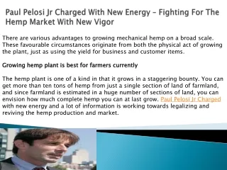 Paul Pelosi Jr Charged With New Energy – Fighting For The Hemp Market With New Vigor